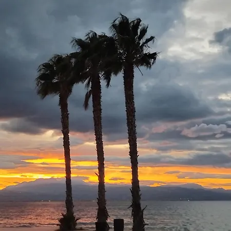 Daire Maritonia's Comfort